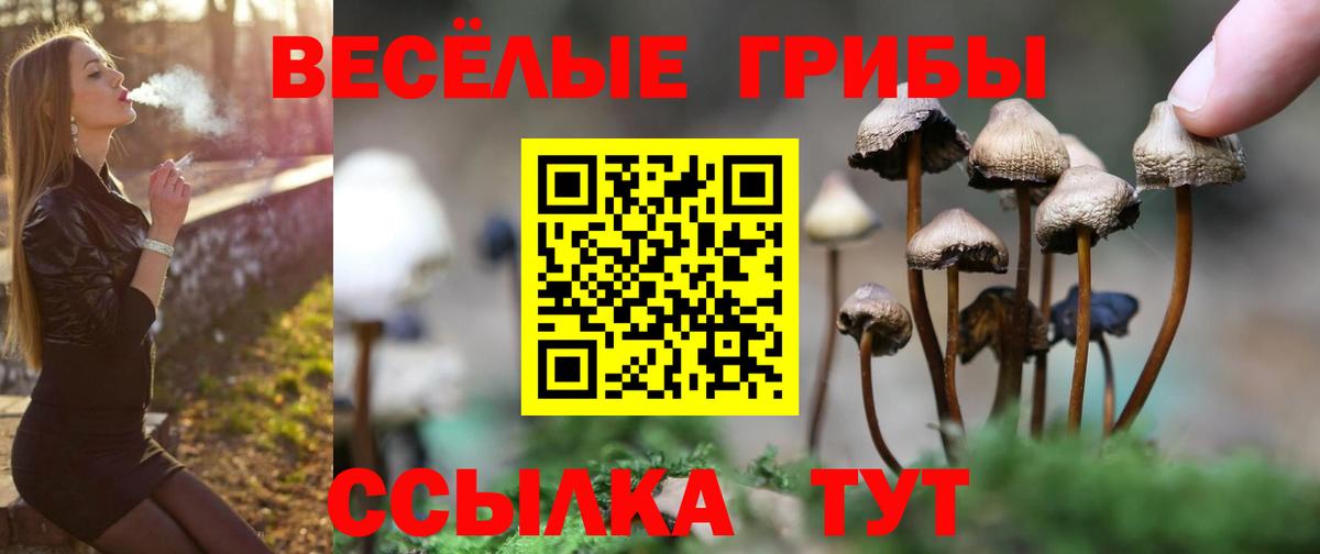 Галлюциногенные грибы мухоморы  Вход с VPN  Азнакаево 